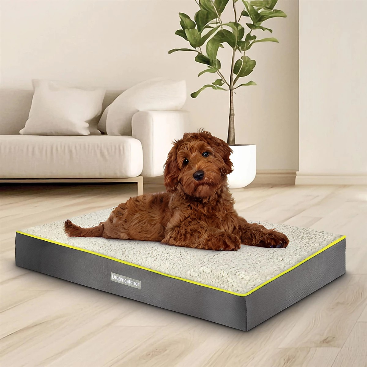 Orthopaedic Dog Beds