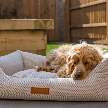 Premium Memory Foam Nest Dog Bed | Orthopaedic | PawLuxy