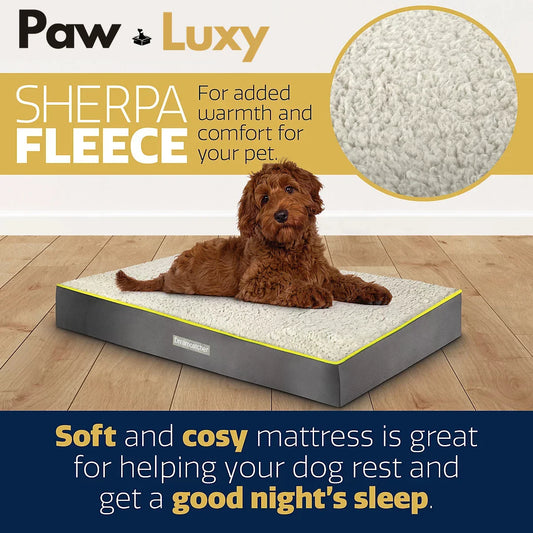 Brown dog lying on a sherpa fleece dog bed for warmth and comfort on wooden floor.