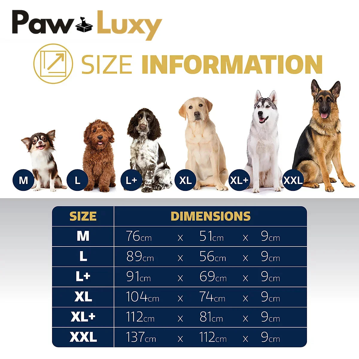 Dog bed size chart with six different dog breeds, labeled sizes M to XXL, and bed dimensions in cm.