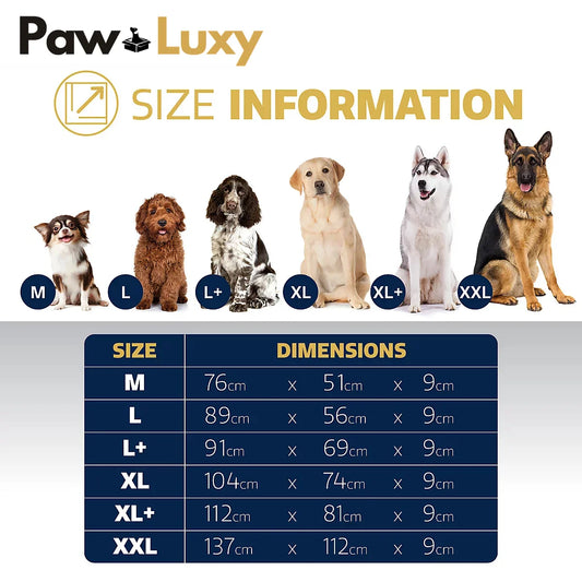 Dog bed size chart with six different dog breeds, labeled sizes M to XXL, and bed dimensions in cm.