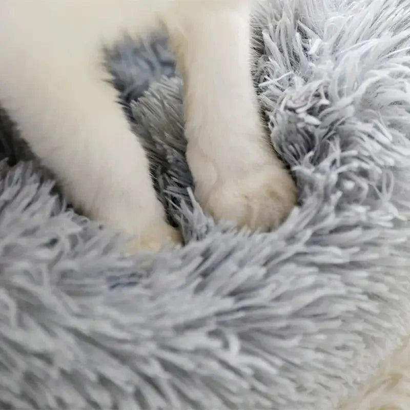 White pet paws standing on a fluffy grey round pet bed