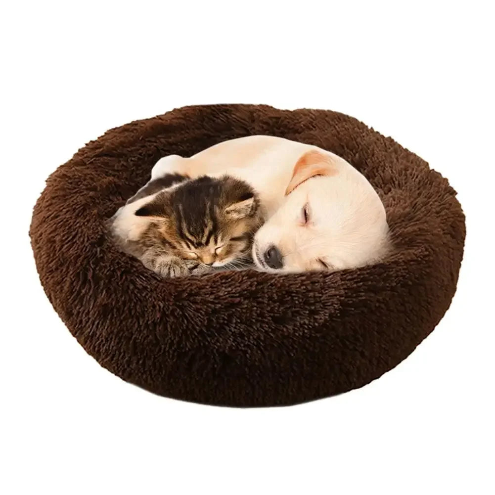 Kitten and puppy sleeping together in a round plush brown pet bed