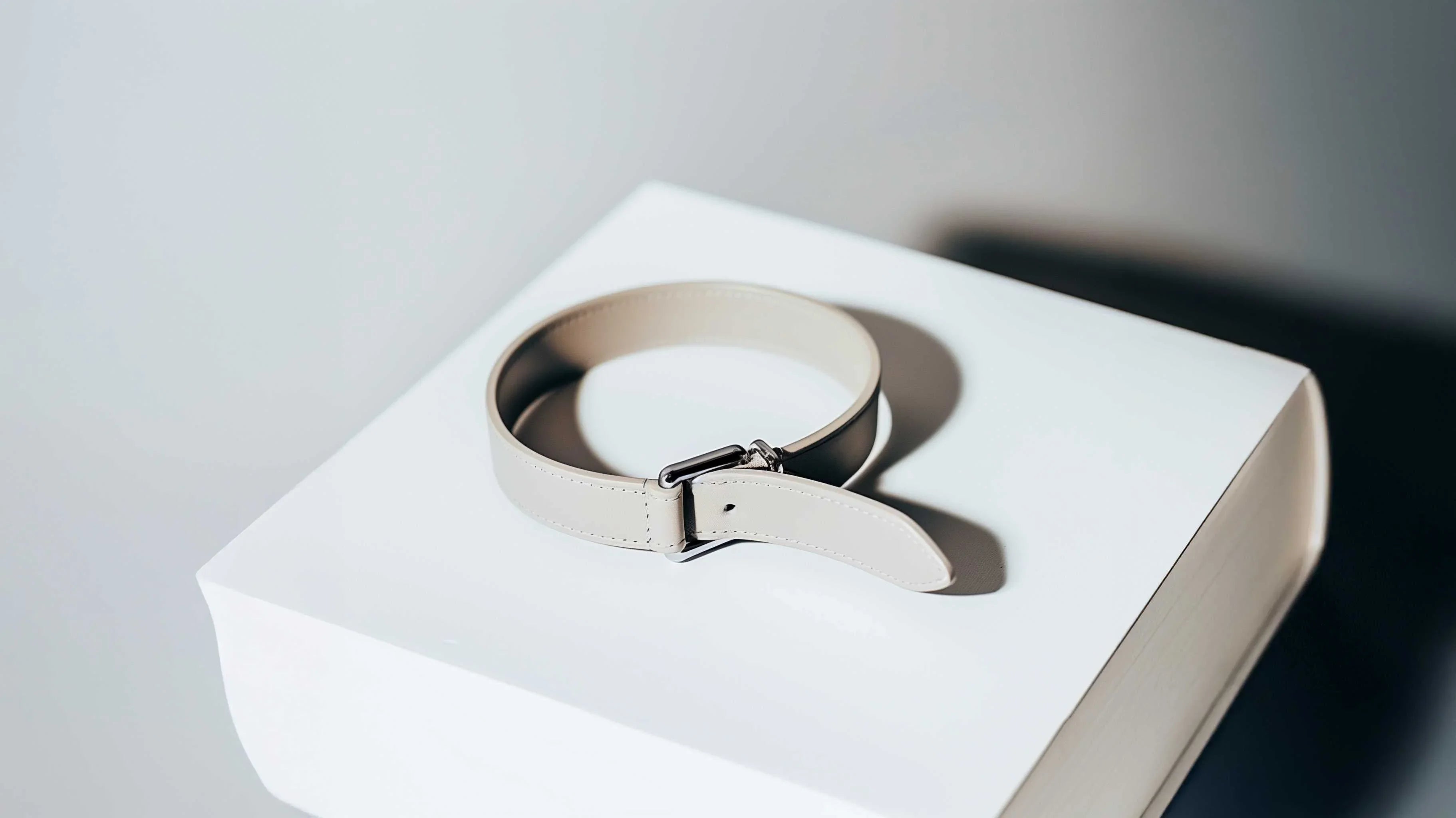 Minimalist beige leather dog collar with silver buckle on white display, pet accessories